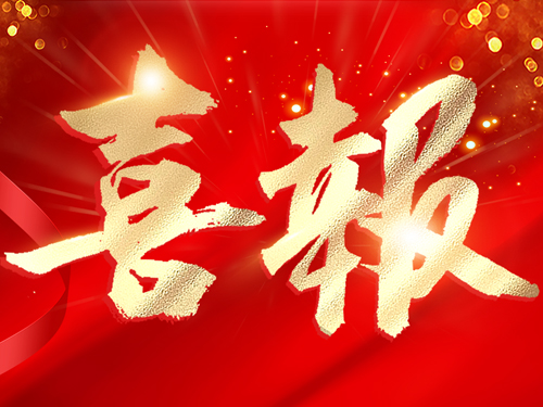 争当导热材料行业的“佼佼者” 宝运莱NFION荣获“专精特新”企业认定